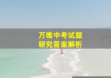 万唯中考试题研究答案解析