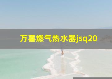 万喜燃气热水器jsq20