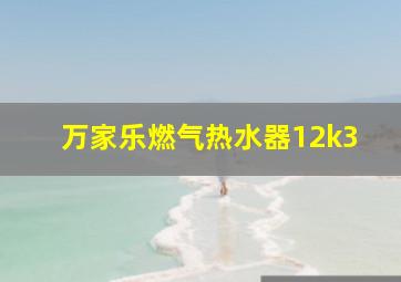 万家乐燃气热水器12k3