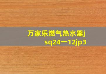 万家乐燃气热水器jsq24一12jp3