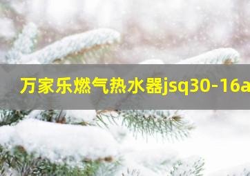 万家乐燃气热水器jsq30-16a8