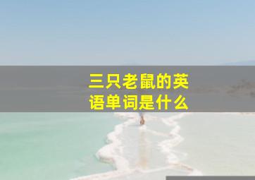 三只老鼠的英语单词是什么