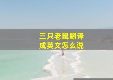 三只老鼠翻译成英文怎么说