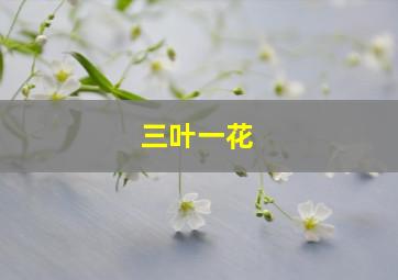 三叶一花