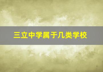 三立中学属于几类学校