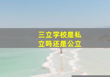 三立学校是私立吗还是公立