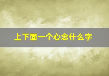 上下面一个心念什么字