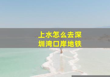 上水怎么去深圳湾口岸地铁