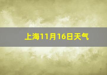 上海11月16日天气