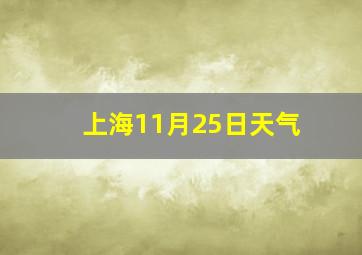 上海11月25日天气