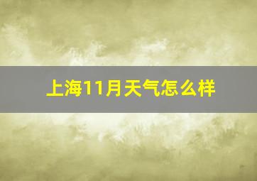 上海11月天气怎么样