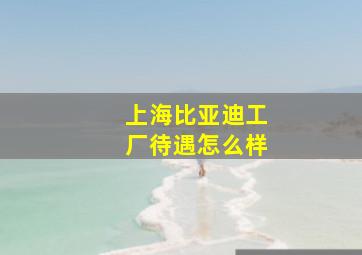 上海比亚迪工厂待遇怎么样