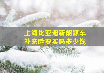 上海比亚迪新能源车补充险要买吗多少钱