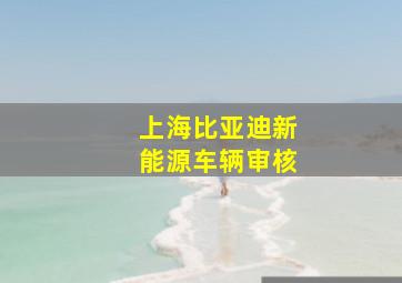 上海比亚迪新能源车辆审核