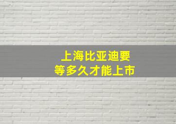 上海比亚迪要等多久才能上市