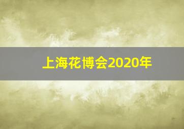 上海花博会2020年