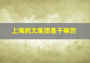 上海阅文集团是干嘛的