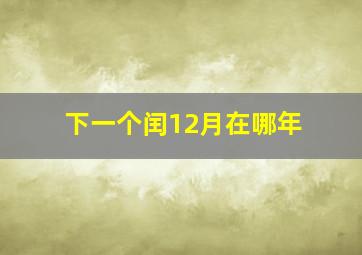 下一个闰12月在哪年