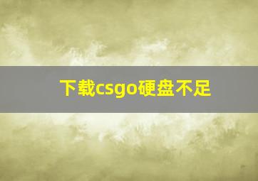 下载csgo硬盘不足