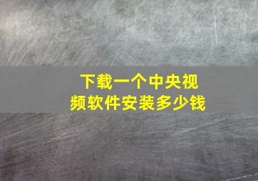 下载一个中央视频软件安装多少钱