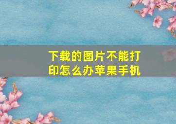 下载的图片不能打印怎么办苹果手机