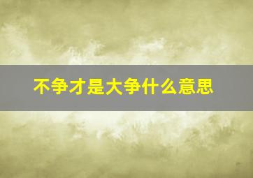 不争才是大争什么意思