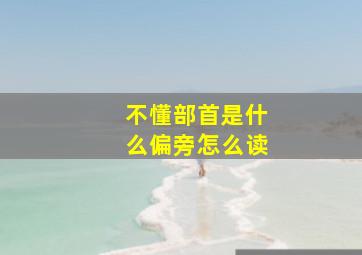 不懂部首是什么偏旁怎么读