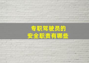 专职驾驶员的安全职责有哪些