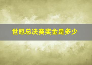 世冠总决赛奖金是多少