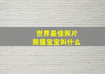 世界最佳照片熊猫宝宝叫什么