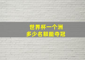 世界杯一个洲多少名额能夺冠