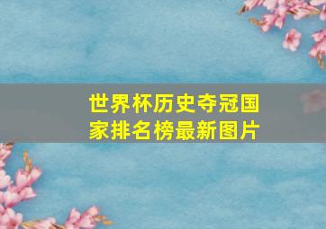 世界杯历史夺冠国家排名榜最新图片