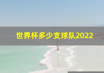 世界杯多少支球队2022