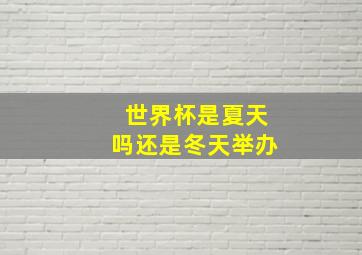 世界杯是夏天吗还是冬天举办