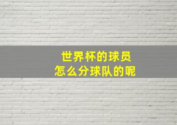 世界杯的球员怎么分球队的呢