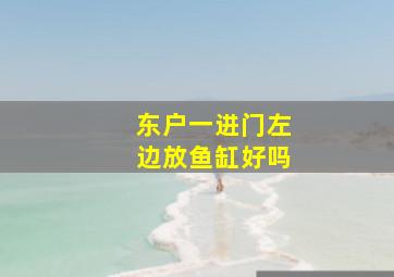 东户一进门左边放鱼缸好吗