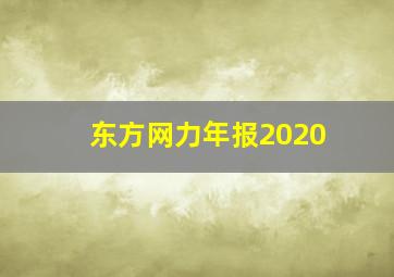 东方网力年报2020