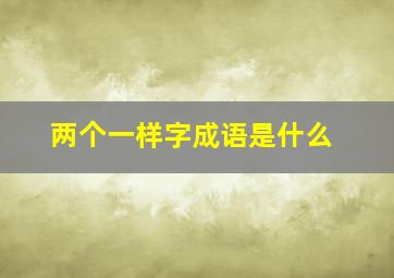 两个一样字成语是什么