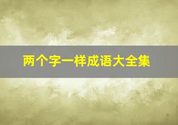 两个字一样成语大全集