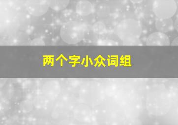 两个字小众词组