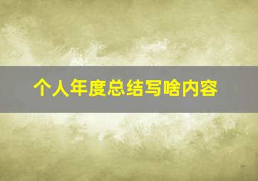 个人年度总结写啥内容