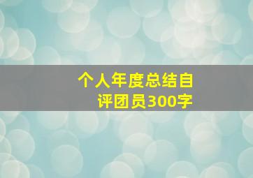 个人年度总结自评团员300字