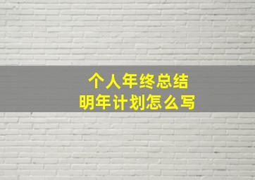 个人年终总结明年计划怎么写