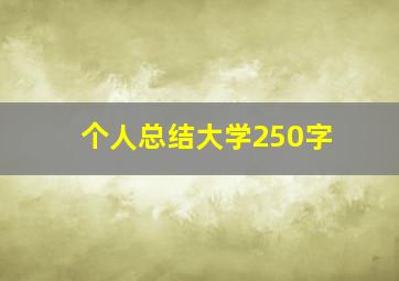 个人总结大学250字