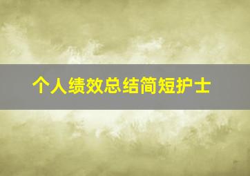 个人绩效总结简短护士