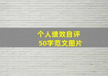 个人绩效自评50字范文图片