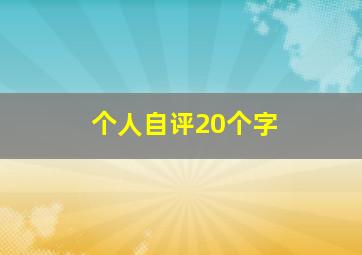 个人自评20个字