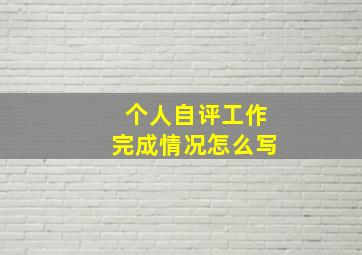 个人自评工作完成情况怎么写