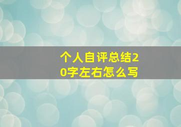 个人自评总结20字左右怎么写