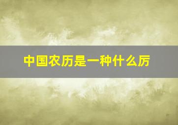 中国农历是一种什么厉